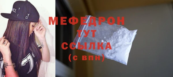 мдпв Ельня
