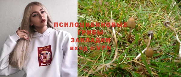 стафф Кирс