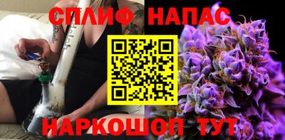 прущие грибы Жуковский