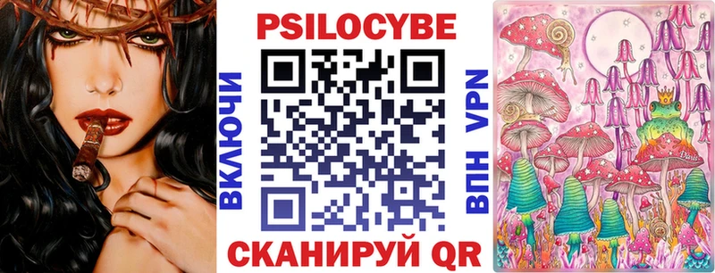 Псилоцибиновые грибы Psilocybe Сегежа