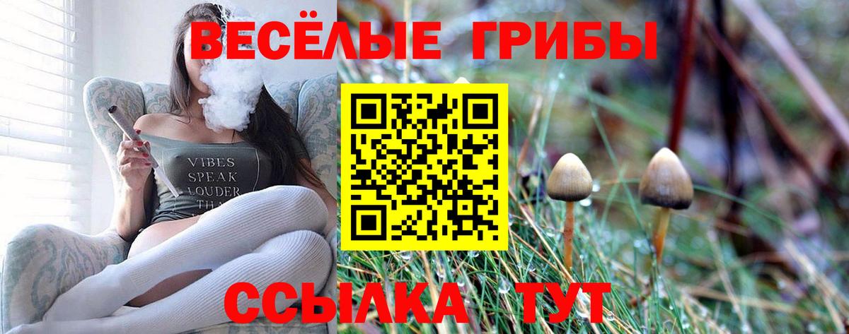 Сегежа  Псилоцибиновые грибы Magic Shrooms  Псилоцибиновые грибы Psilocybine cubensis  Вход с VPN 