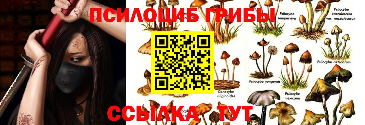 Псилоцибиновые грибы ЛСД Сегежа